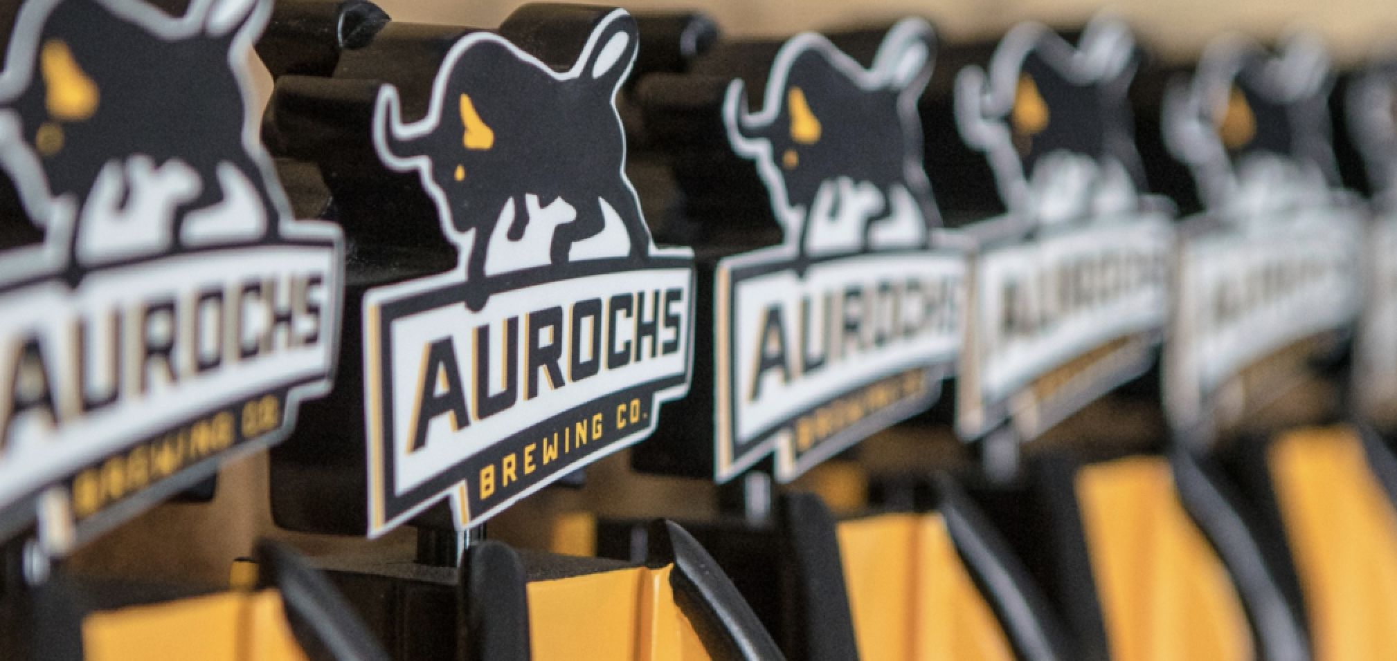 Aurochs Brewing - 15 & 7 BBL Brewhouses, 6 to 14 BBL Fermenters, 7 BBL Brite, ABE 5-Head Canner, Meheen Bottling Line, Boiler, Chiller & More