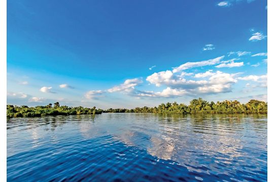 Charlotte County, Florida: Nature Lover's Paradise…