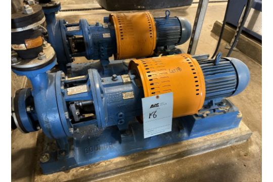 Lot Of (2) Goulds Centrifugal Pumps, Model…