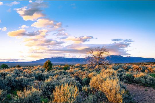 Over Half an Acre in Valencia County, New Mexico!