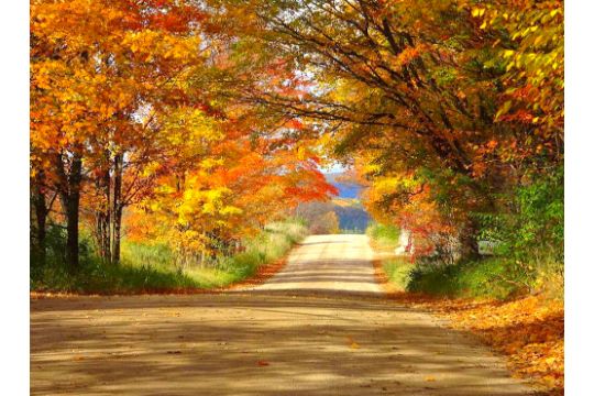 Michigan Autumn Colors Await You Here!