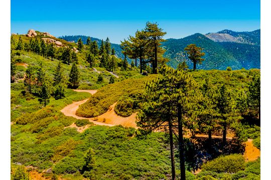 California Dreaming in Los Angeles County!