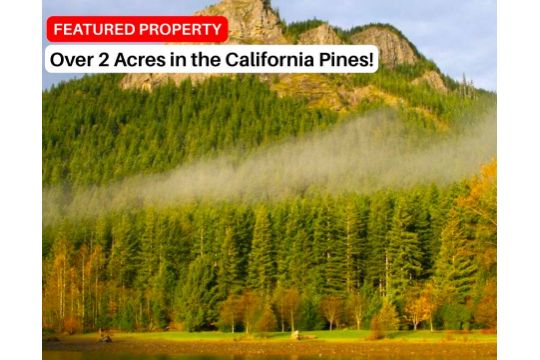 Build on Over 2 Acres in California!