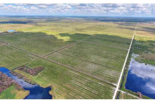 Beautiful Lot Near Shell Creek in Charlotte…