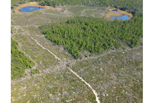 FINANCE 10 Lots in Polk County, Florida!…