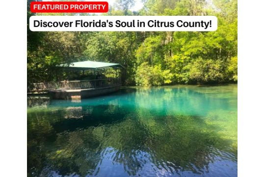 Discover Florida's Soul in Citrus County!