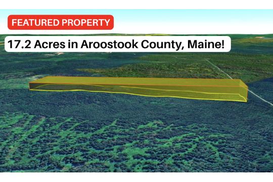 17.2 Acres of Tranquil Woodlands in Grand…