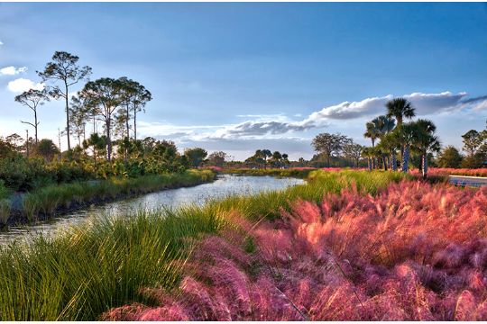 Become A Floridian: Land in Charlotte County!