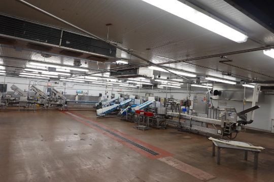 Bulk bid of Pizza line Lots 22-35