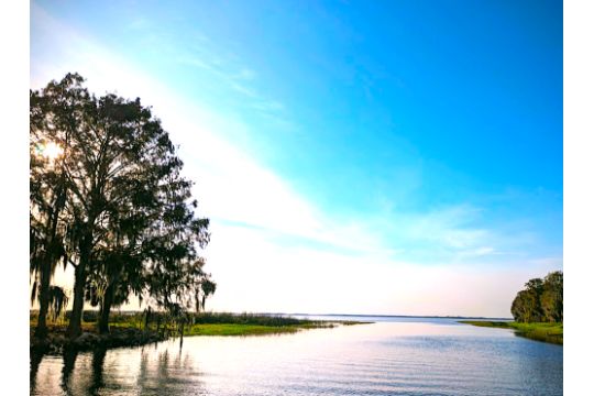 1+ Acre Surrounded by Florida Lakes!