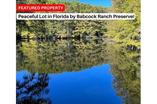 Peaceful Lot in Florida by Babcock Ranch…