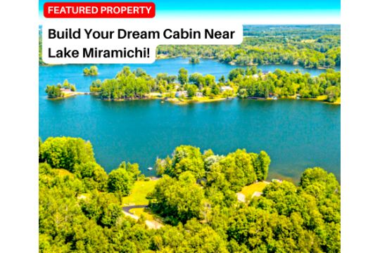 Osceola County, Michigan - Build Your Dream…
