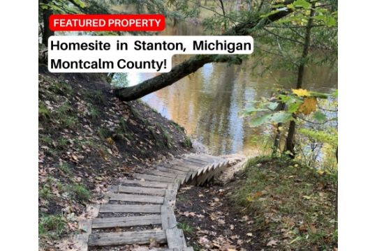 Stanton, Michigan Homesite!