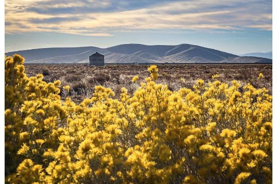 Holiday Nationwide Land Auction!