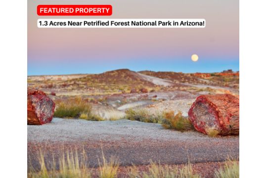 1.3 Acres near Holbrook in Navajo County,…