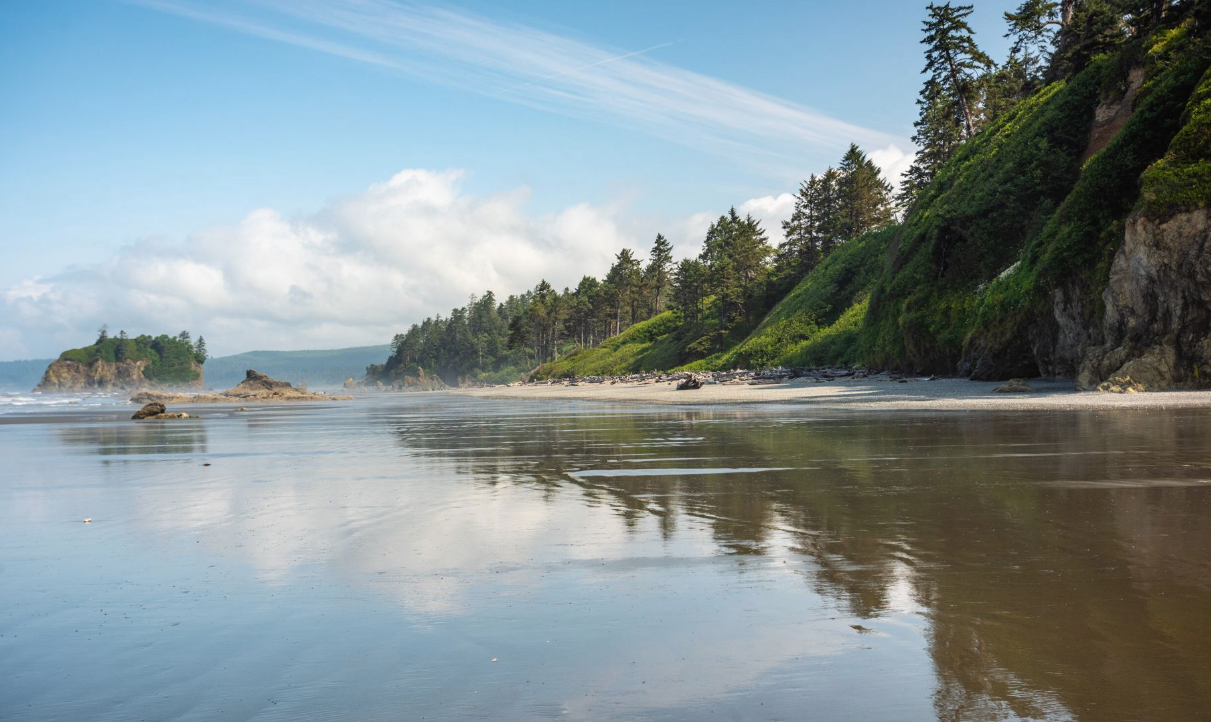 Splash Into Savings: The Ultimate Land Auction!