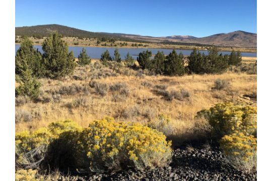 Buildable California Pines Corner Property in Modoc…