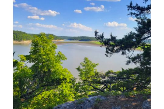 Splash Into Savings: The Ultimate Land Auction!