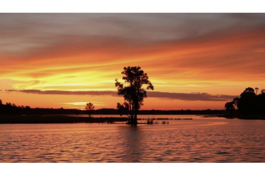 Close to Florida's Tiger Lake: Secluded 1.27-Acre…