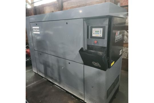 Plant Support Inventory Reduction Sale