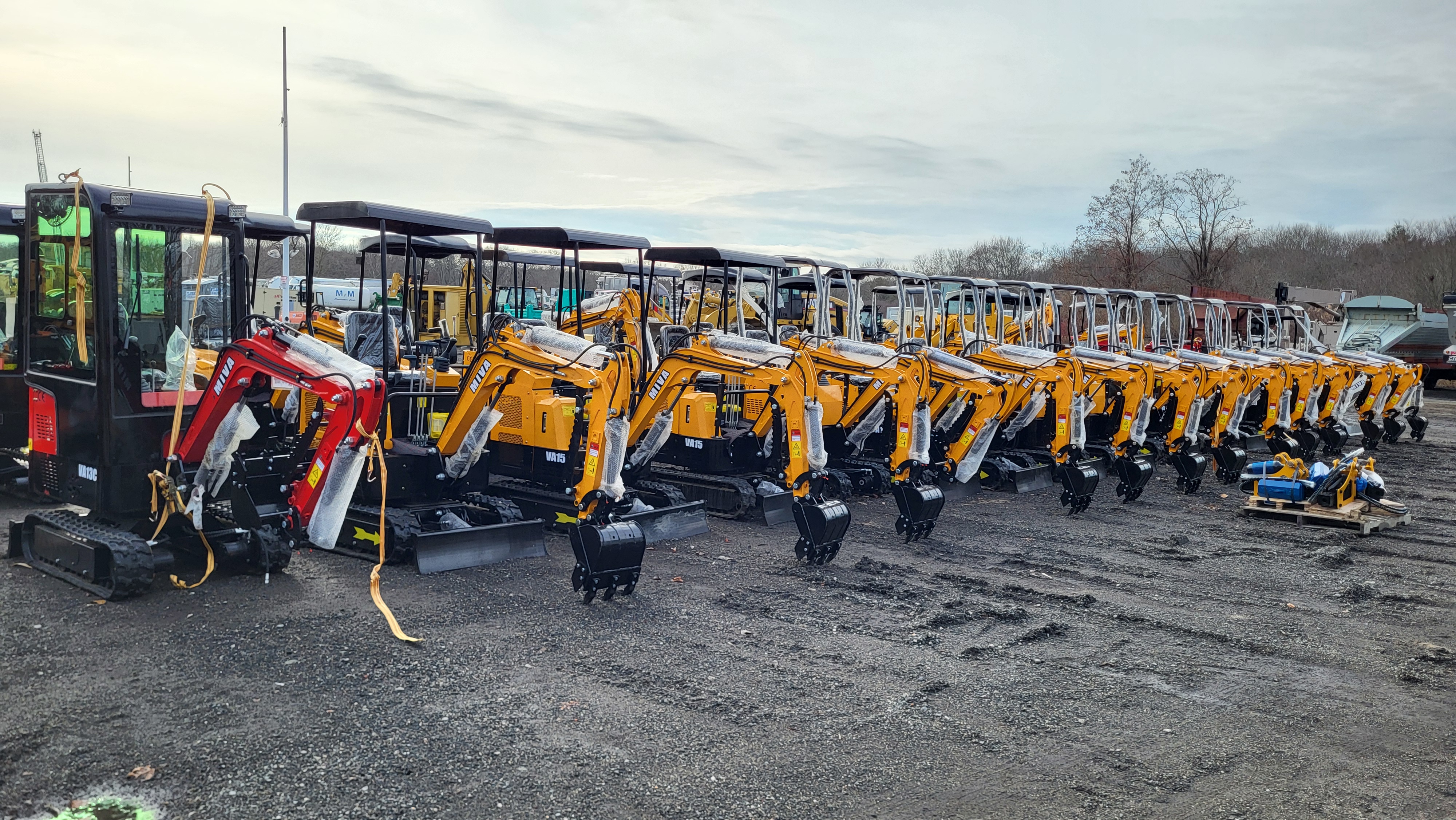 New England's Winter Timed Extravaganza Auction