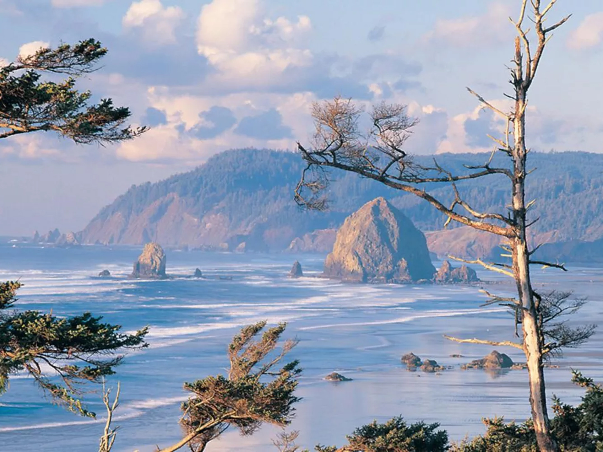 Invest in Land for Stability!