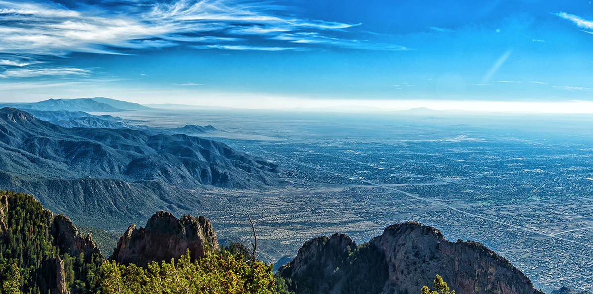 Land Auction: Real Assets in Uncertain Times!