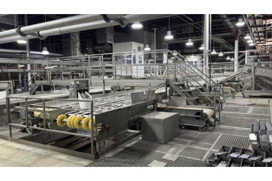 Tomato Distribution Conveyor System