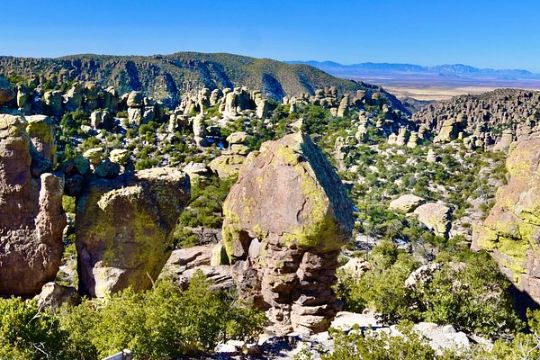 Scenic Lot in Arizona's Twin Lakes Country Club!