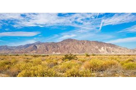 40 Acres in Bent County, Colorado!