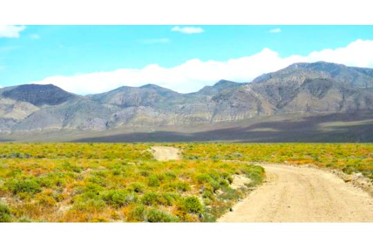 Mountain Views on Nearly 36 Acres in Lander County,…