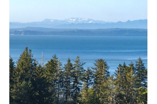 Close to the Coast of Washington State!