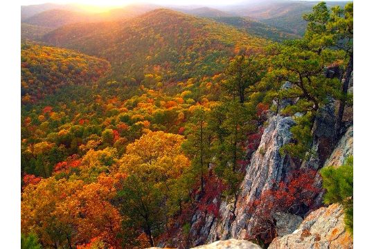 Build or Invest in Friendly Ozark Acres, Arkansas!