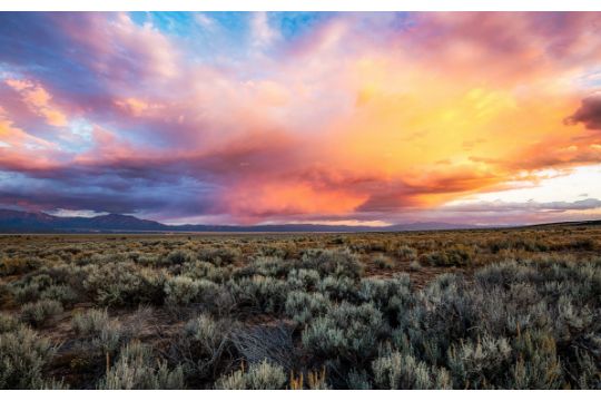 Arizona High Desert Property Near Holbrook…