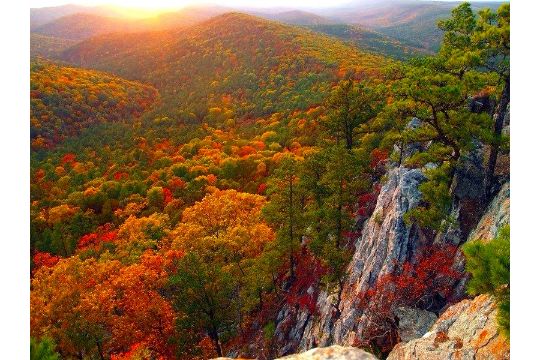 Discover Ozark Acres, Arkansas: Build, Invest & Belong!