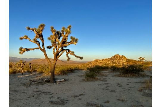 Over 5 Acres in Los Angeles County, California!