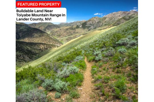 Buildable Land Near Toiyabe Mountain Range…