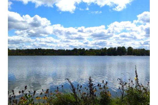 Build on 0.23 Acre Lot Near Perch Lake in Montcalm…