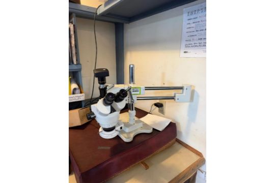 AmScope Stereo Microscope