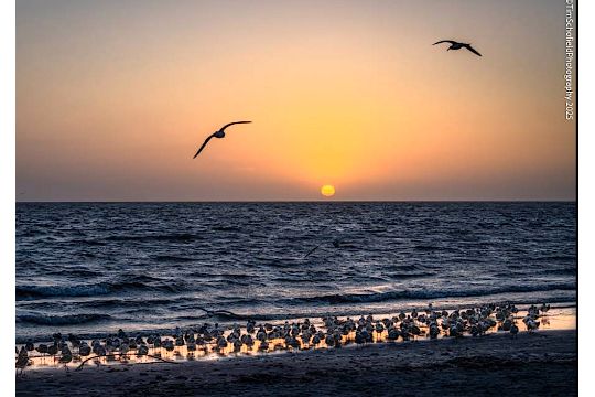 A Short Drive to Florida's Beach & Crystal Bay!