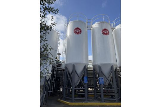 DCI 200 BBL Stainless Steel Fermenter, Stainless Steel…