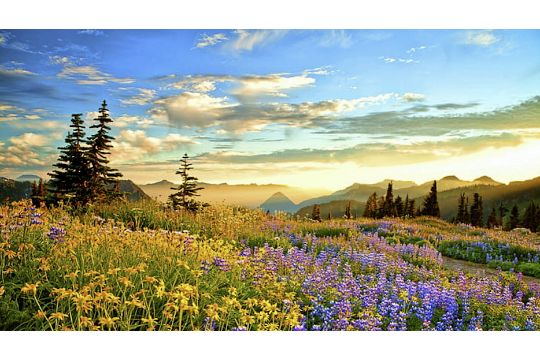 Own Land in Vibrant Los Angeles County, California!