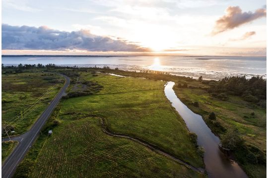 Own a Lot in the Pacific Northwest: Grays Harbor, Washington!