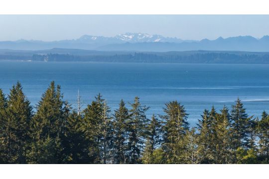 Own a Lot in the Pacific Northwest: Grays Harbor, Washington!