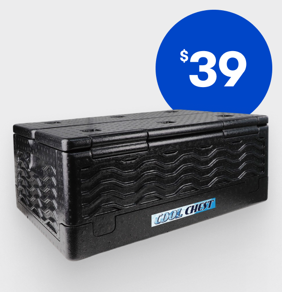 Collapsible Cool Chest 38L