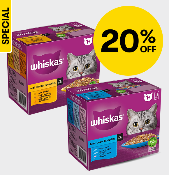 20% OFF