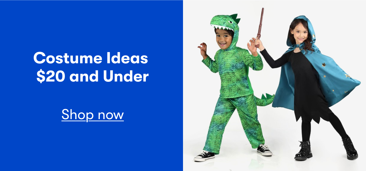 Costume Ideas $20 and Under