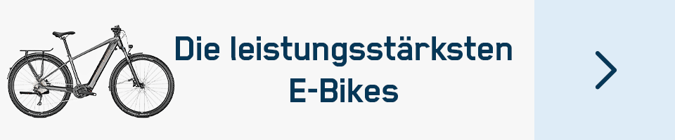 E-Bikes entdecken