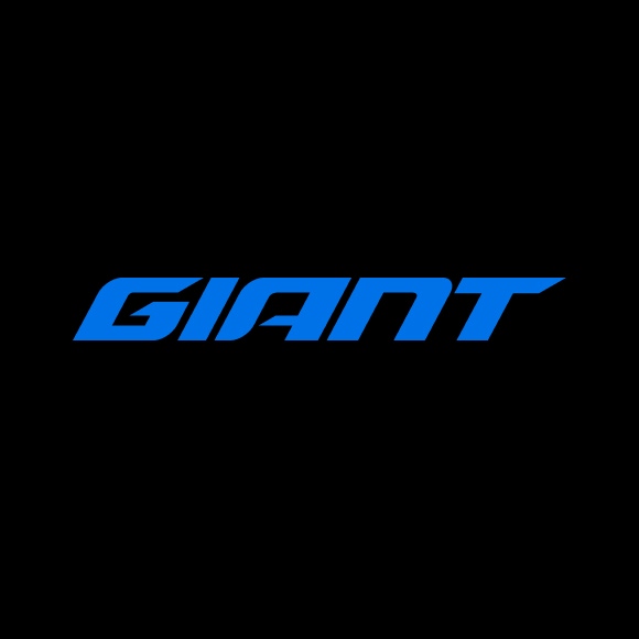 Image Giant