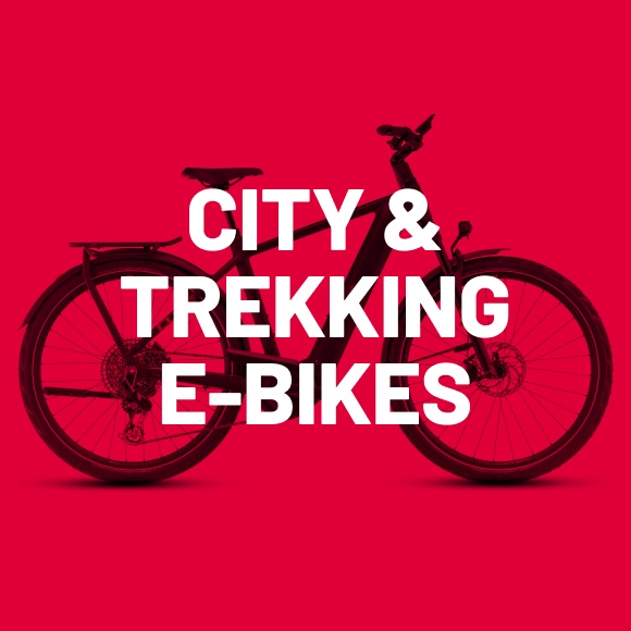 Image Trekking E-Bikes
